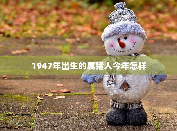 1947年出生的属猪人今年怎样