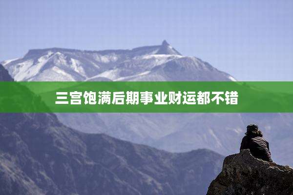 三宫饱满后期事业财运都不错