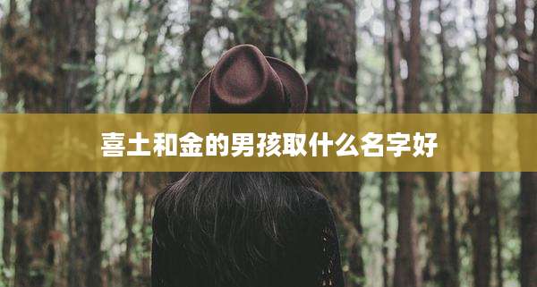 喜土和金的男孩取什么名字好