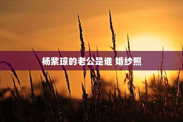 杨紫琼的老公是谁 婚纱照