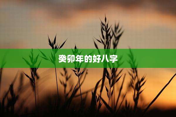 癸卯年的好八字