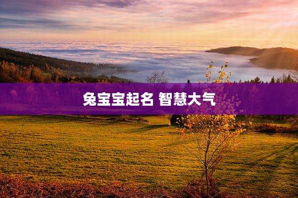 兔宝宝起名 智慧大气