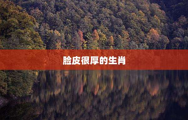 脸皮很厚的生肖