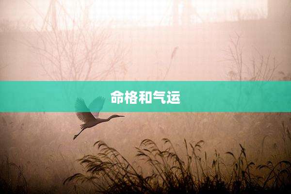 命格和气运