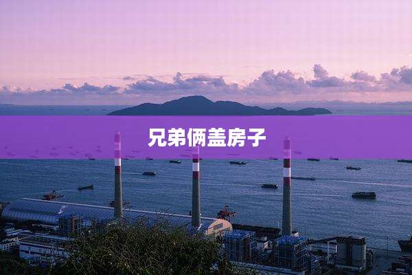 兄弟俩盖房子