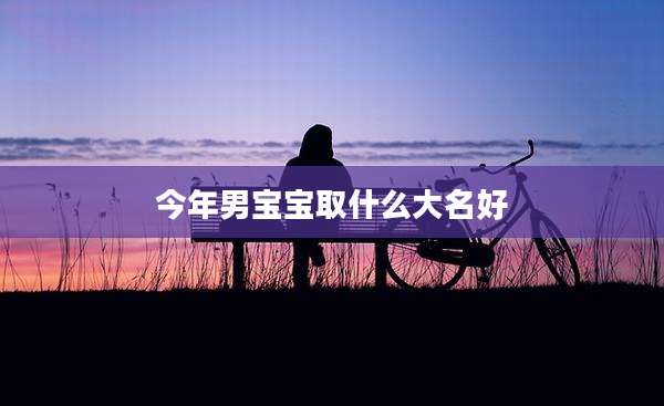 今年男宝宝取什么大名好