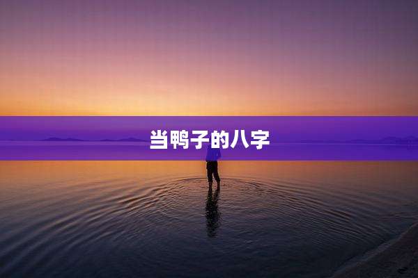 当鸭子的八字