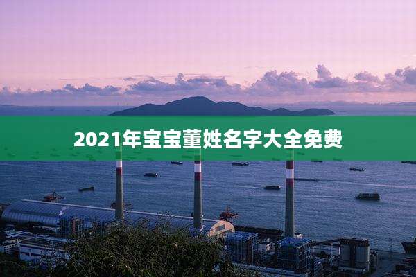 2021年宝宝董姓名字大全免费