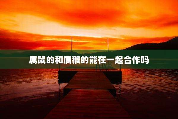 属鼠的和属猴的能在一起合作吗