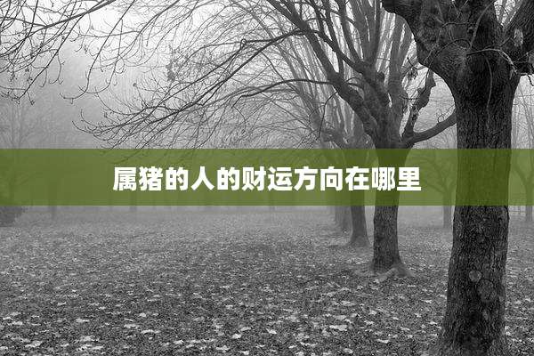 属猪的人的财运方向在哪里