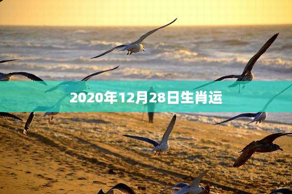 2020年12月28日生肖运