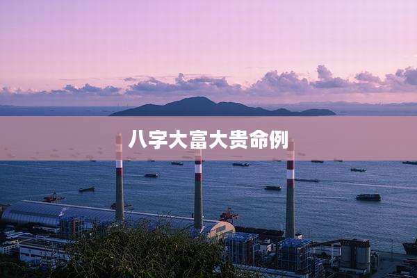 八字大富大贵命例
