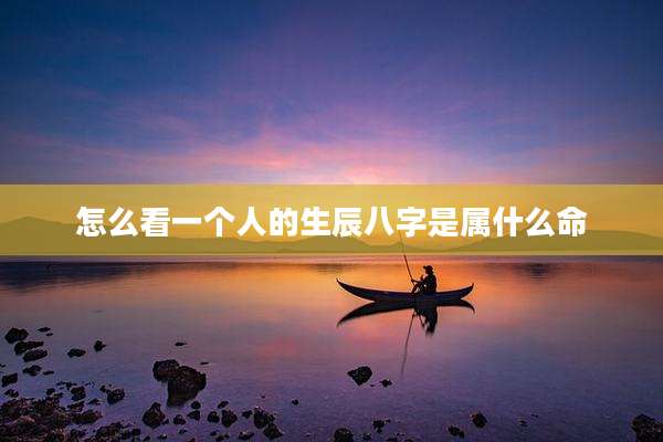 怎么看一个人的生辰八字是属什么命