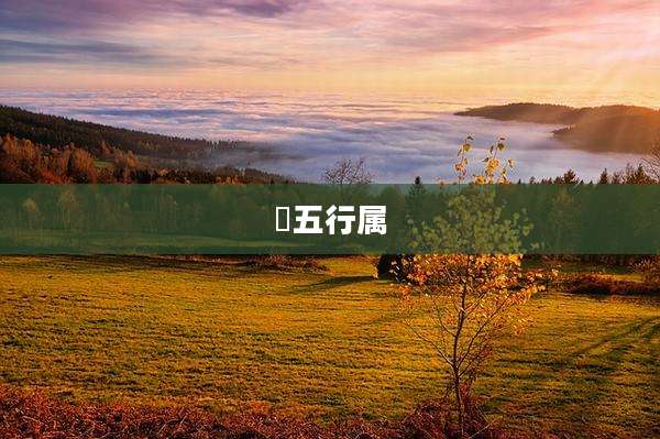 莯五行属