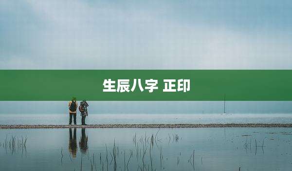 生辰八字 正印