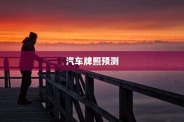 汽车牌照预测