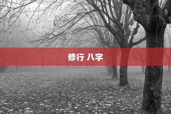修行 八字