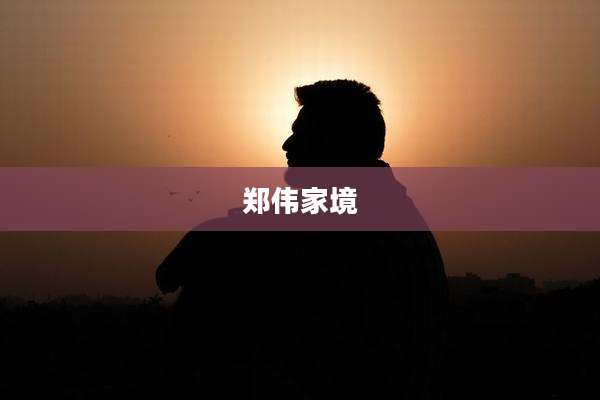 郑伟家境