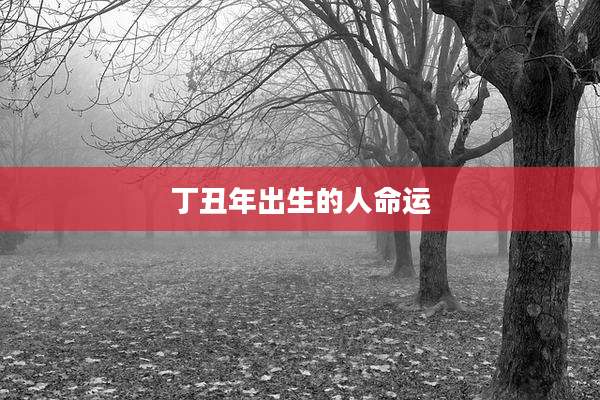 丁丑年出生的人命运