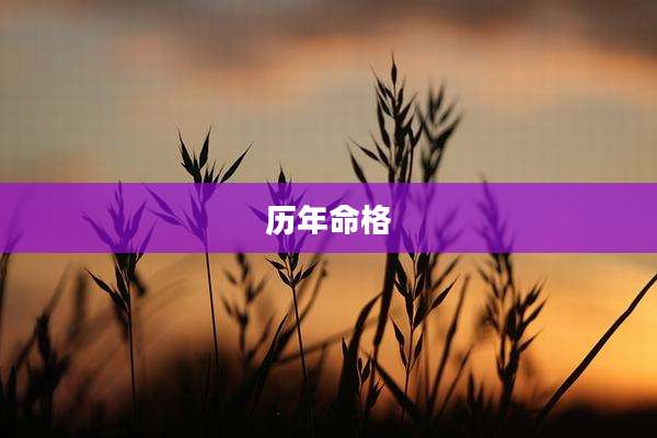 历年命格