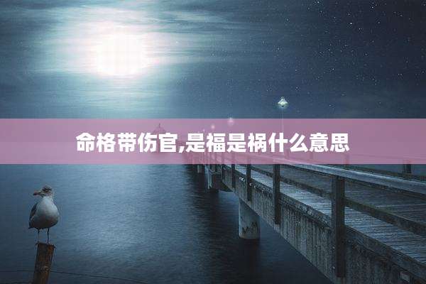 命格带伤官,是福是祸什么意思
