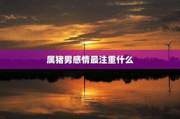 属猪男感情最注重什么