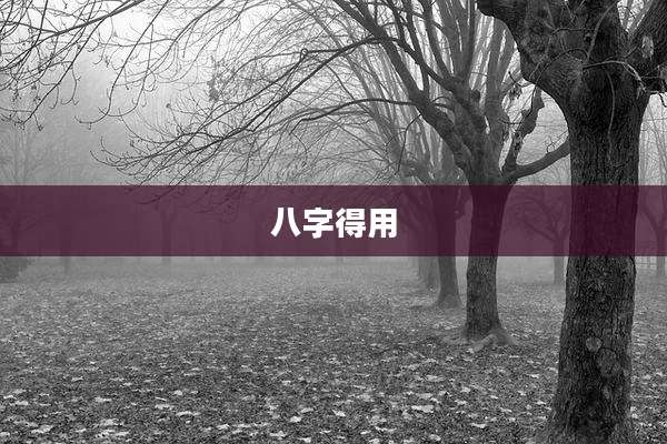 八字得用