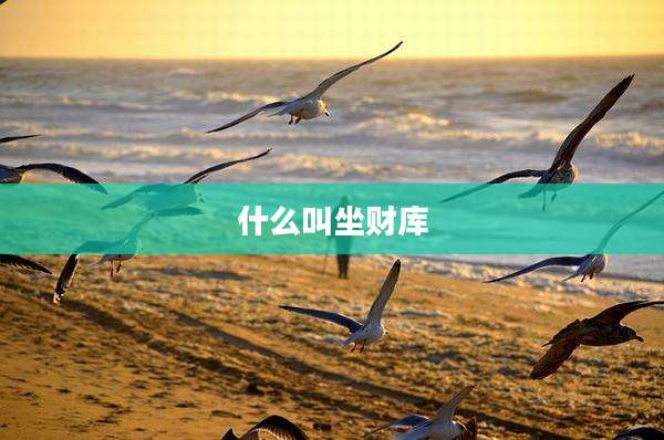 什么叫坐财库