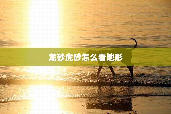 龙砂虎砂怎么看地形