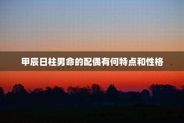 甲辰日柱男命的配偶有何特点和性格
