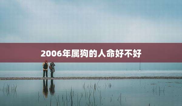 2006年属狗的人命好不好