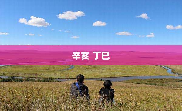 辛亥 丁巳