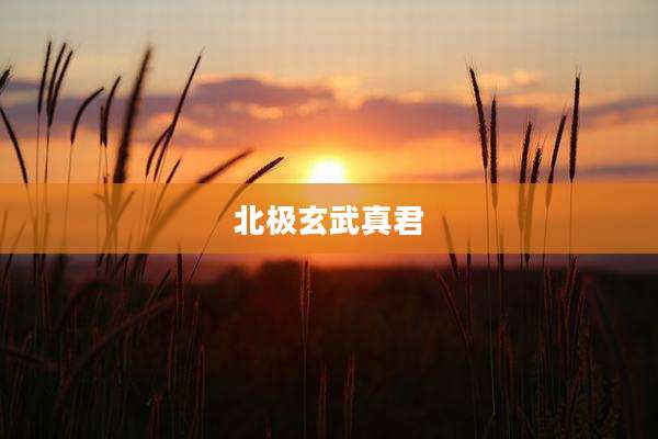 北极玄武真君