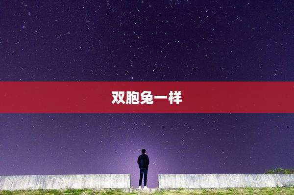 双胞兔一样