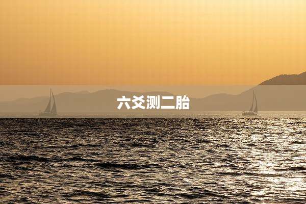 六爻测二胎