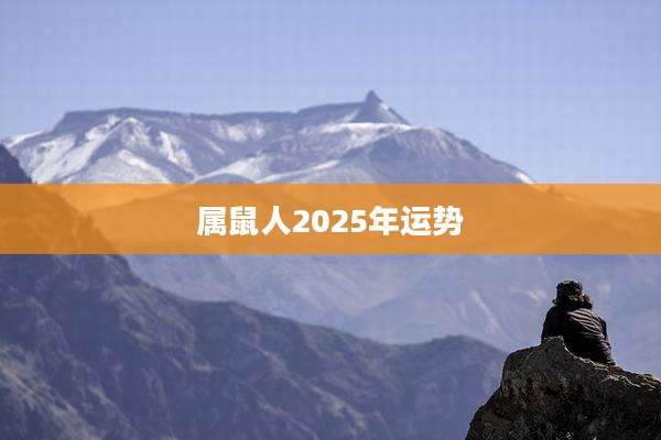 属鼠人2025年运势