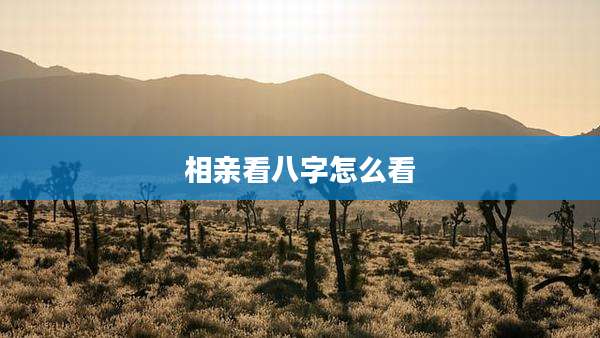 相亲看八字怎么看
