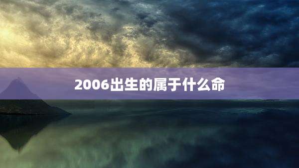 2006出生的属于什么命