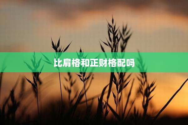 比肩格和正财格配吗