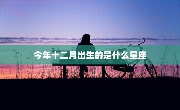 今年十二月出生的是什么星座