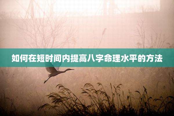 如何在短时间内提高八字命理水平的方法