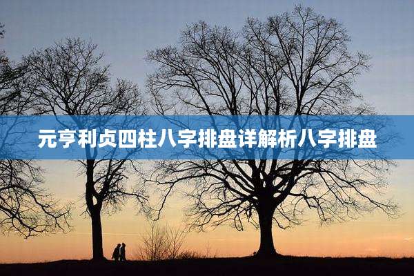 元亨利贞四柱八字排盘详解析八字排盘