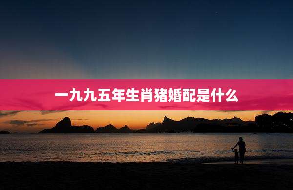 一九九五年生肖猪婚配是什么
