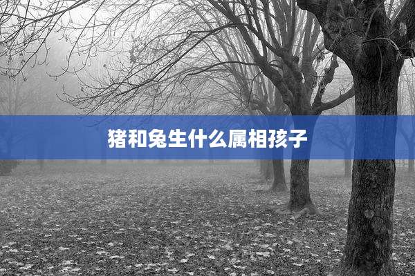 猪和兔生什么属相孩子