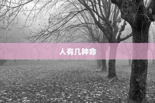 人有几种命