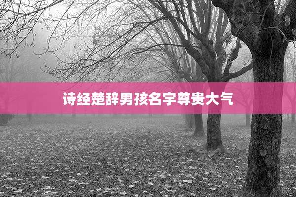 诗经楚辞男孩名字尊贵大气