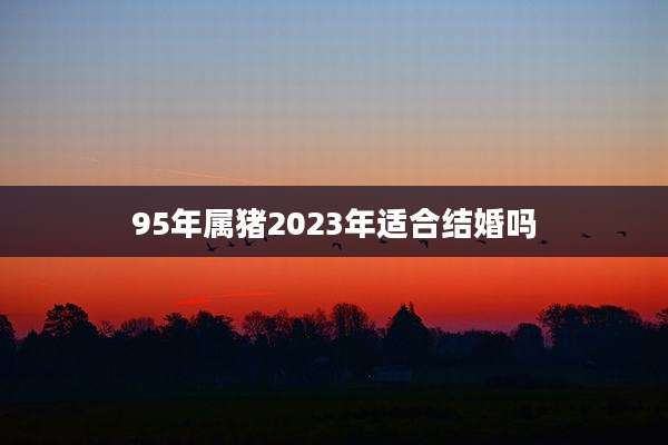 95年属猪2023年适合结婚吗