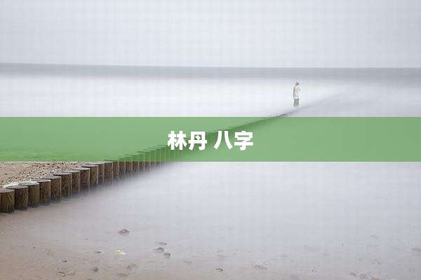 林丹 八字