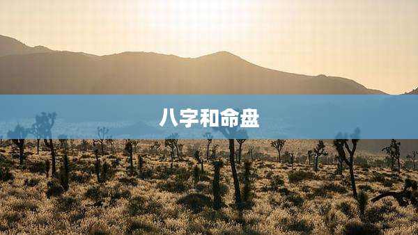 八字和命盘