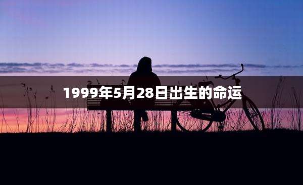 1999年5月28日出生的命运